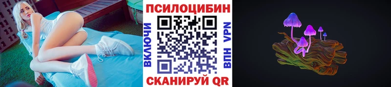 Галлюциногенные грибы Psilocybe Невель