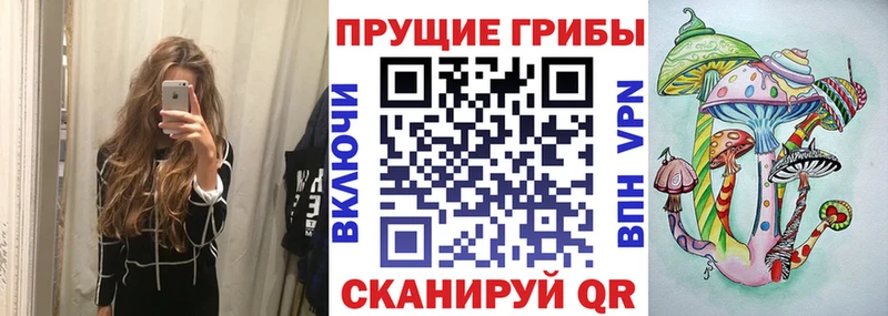 Псилоцибиновые грибы Psilocybe  Купить где  Невель 